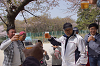 hana30 (117)_thumb.png